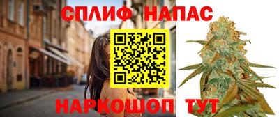 хмурый Шебекино