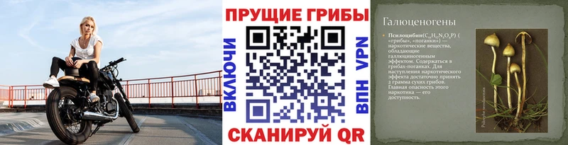 дарк нет официальный сайт  хочу наркоту  Алексеевка  Галлюциногенные грибы Magic Shrooms  мега ссылки 