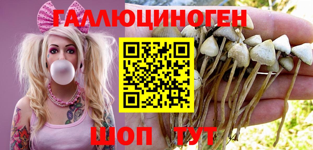 Галлюциногенные грибы Psilocybe  Вход с VPN  Галлюциногенные грибы Magic Shrooms  Алексеевка 